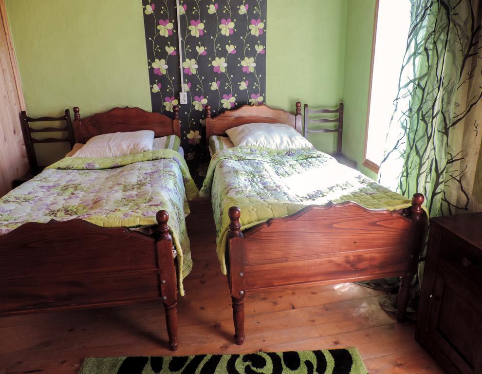 Guesthouse Angelina Ushguli Bagian luar foto