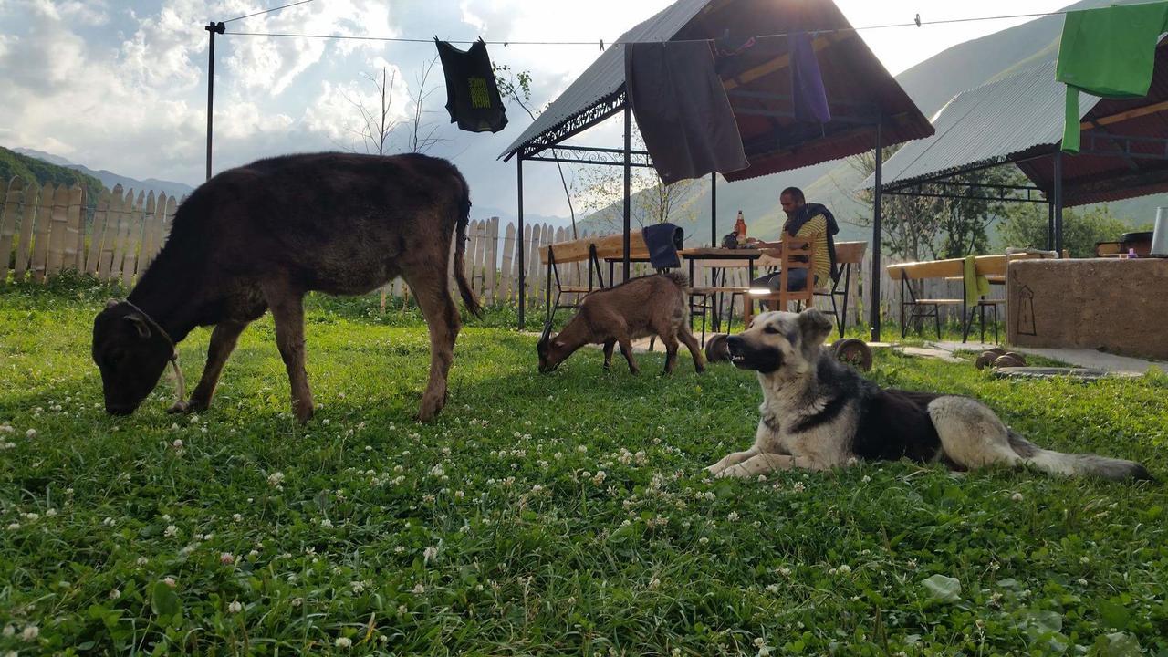Guesthouse Angelina Ushguli Bagian luar foto