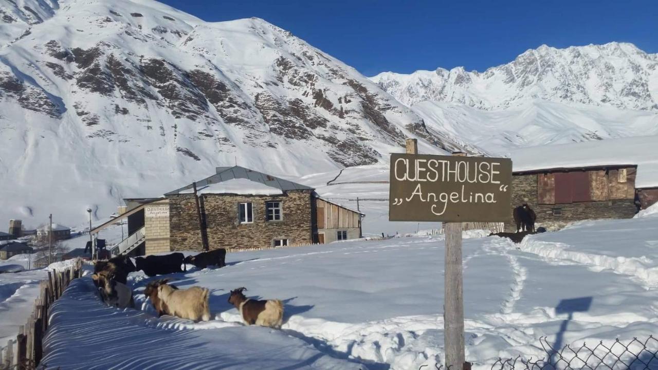 Guesthouse Angelina Ushguli Bagian luar foto
